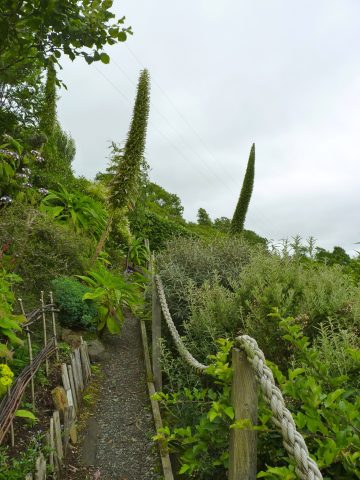A beguiling view of the garden.