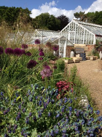 The Walled Nursery, Kent.