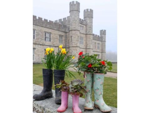 Floriferous gumboots at Leeds Castle, Kent.