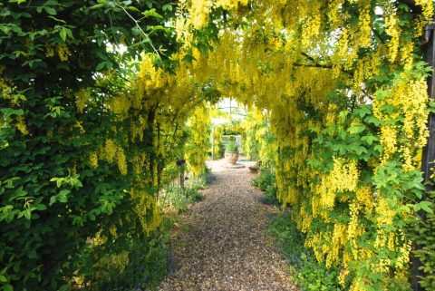 Birtsmorton Court, Nr. Malvern, Worcestershire. 
