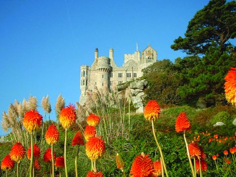 St. Michael's Mount, Marazion, Cornwall.  A sub-tropical coastal garden with tender plants from Mexico, the Canary Islands and South Africa.  The terraced beds cling to granite slopes.