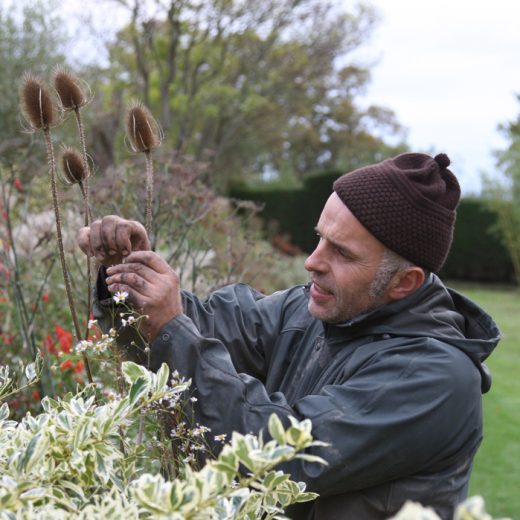 Fergus Garrett at Great Dixter