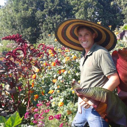 Head Gardener