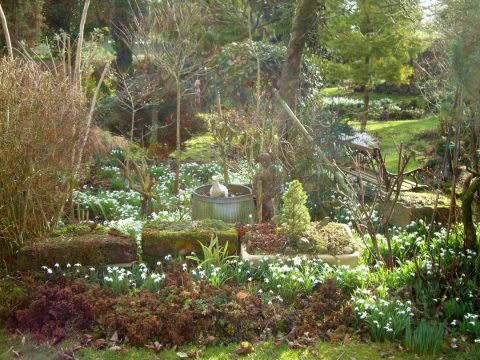 Lower Rowell Farm and Cottage, Cumbria