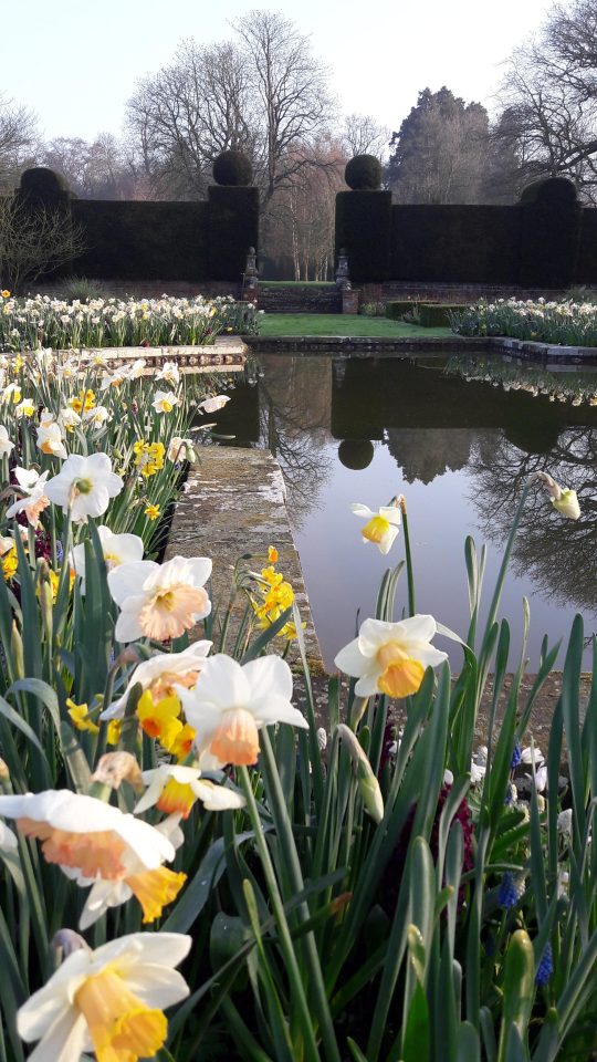 The Sunken Garden - Doddington Place Gardens