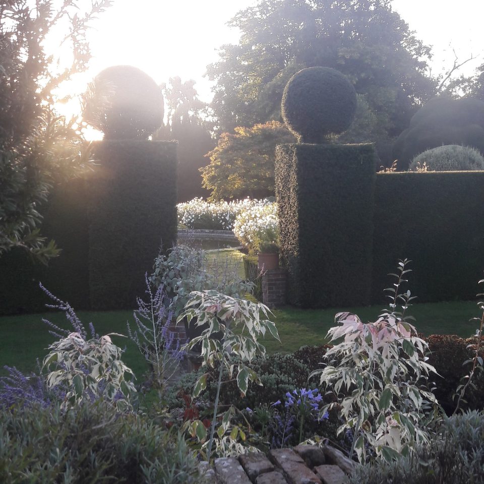 Yew Hedges - Doddington Place Gardens