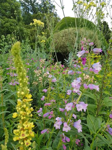 The Sunken Garden - Doddington Place Gardens
