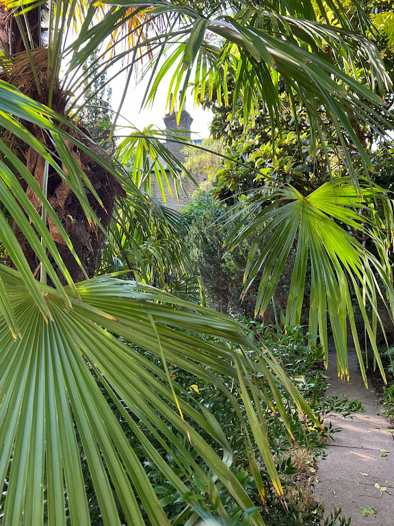 A glimpse of the South London Botanical Institute's garden on the busy Norwood Road