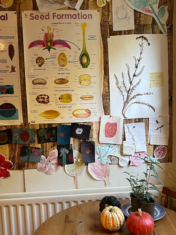 The South London Botanical Institute offers a good programme of educational activities for children