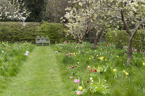 Doddington Place Gardens - Gallery