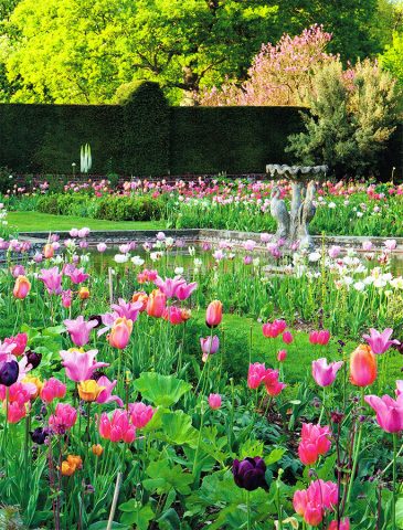 Secret Gardens - Doddington Place Gardens